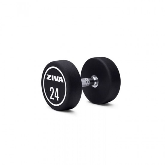 Ziva XP Urethane Dumbbell 12kg pair