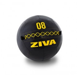 ZVO Premium Wall Ball 3kg