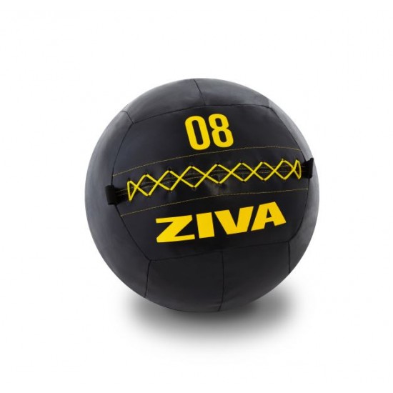 ZVO Premium Wall Ball 3kg